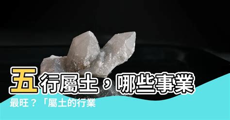 土屬性行業|【土 行業】五行事業屬土？土行業別大公開，助你事業飛黃騰。